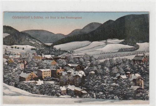 Görbersdorf i Schl Görbersdorf / Sokolowsko - Kreis Waldenburg / Walbrzych in Schlesien. Blick in den Freudengrund im Winter gelaufen 1925. Gute Erhaltung.