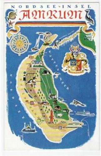 Insel Amrum mit Gesamtansicht 1950 ungelaufen Gute Erhaltung.