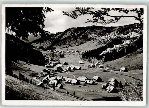 Menzenschwand