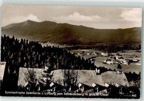 Sommerau Lohberg Schneiderberg Großer und Kleiner Osser