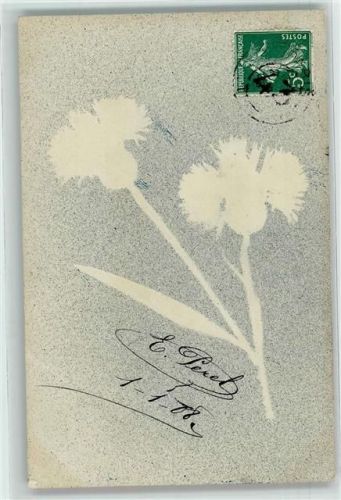 1908 Spritztechnik Blätter Kornblume
