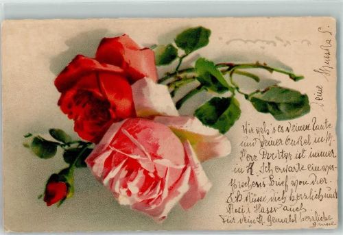 Meissner u. Buch Rosen Hase Gebrauchsspuren