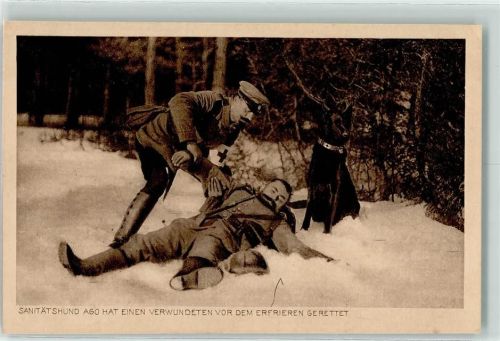 Winter Schwarzer Altdeutscher Schäferhund Uniform