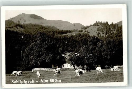 Schlipfgrubalm Gebrauchsspuren Kuhweide Hüttenstempel Privatphoto AK