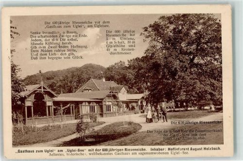 23701 W2420 Uklei - Gasthaus zur Uglei Fahrräder 600 jährige Rieseneiche
