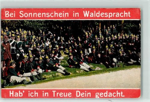 1909 Heimatgrüße Nr. 9 Bei Sonnenschein in Waldespracht