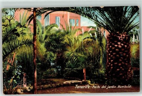 La Orotava Parte del Jardin Humboldt Teneriffa
