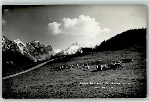 Telfes Alpen Gasthaus Frohneben Stubai Habicht Schafe