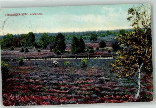 1909 Lüneburger Heide