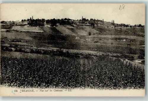 Beaune Vue sur les Coteaux