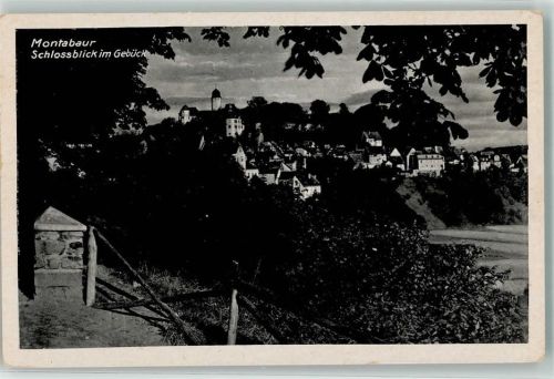 Montabaur Schlossblick im Gebück