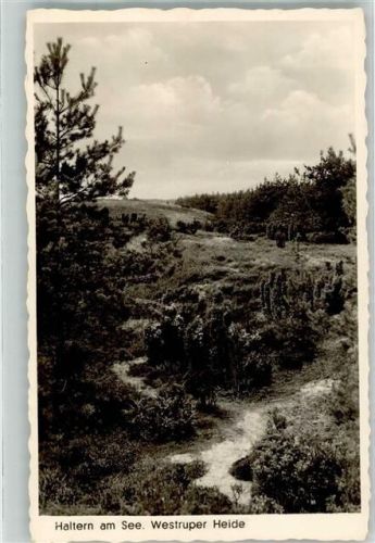 Haltern Westruper Heide