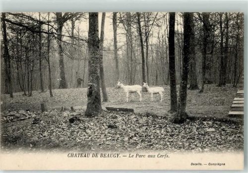 Compiegne Le Parc aux Cerfs Ziege Chateau de Beaugy