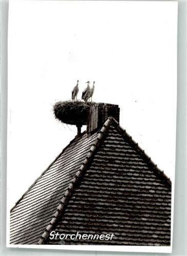Jettingen-Scheppach Storchennest Dach Ort handschriftlich Foto Original aus Archiv eines Ansichtskartenverlags