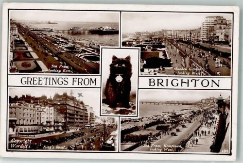 Brighton 1948 Katze Sunken Gardens Hafen Kings Road