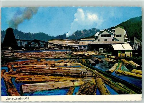 Sacramento Scotia Lumber Mill Sägewerk Eureka