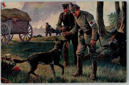 Rotes Kreuz Soldaten sign. Roloff A, Ein treuer Helfer