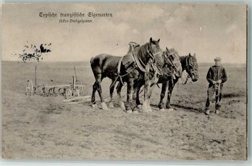 1915 Ader Dreigespann Bauer Pflug Feldpost Landsturm Pionier Kompanie Nr.14
