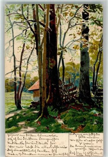 1902 Eine kleine Hütte in einem lichten Wald