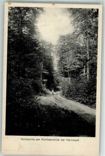 Heimbach Waldpartie am Fünfseenblick