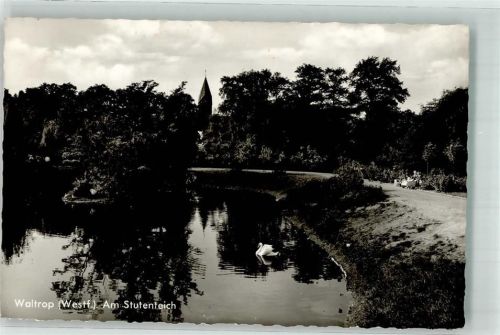 Waltrop Am Stutenteich Schwan
