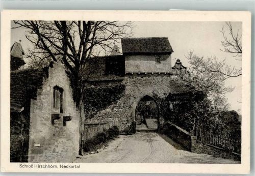 Hirschhorn Schloss