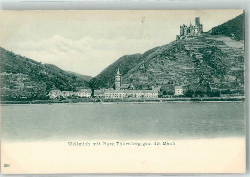 Wellmich Burg Thurnberg