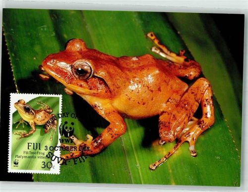Fidschi Baumfrosch Sondermarke Frosch Foto AK