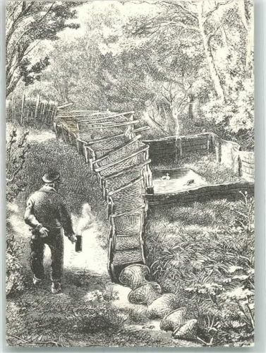 Kampen sign. Fikentscher, Otto Holzschnitt der Vogelkoje um 1865 Deutscher Bund für Vogelschutz 1 DM Spendenkarte