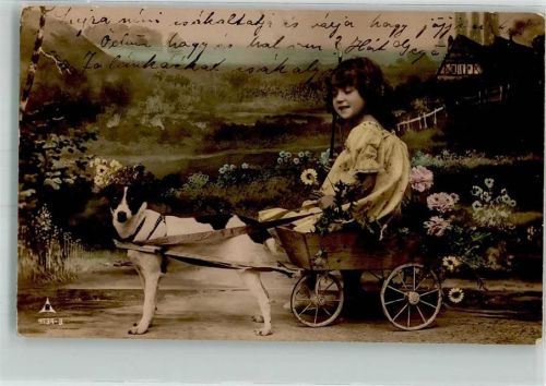 1909 Mädchen Blumenkarre Photochemie Serie 4734/3