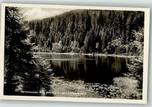Herrenwies Herrenwieser See