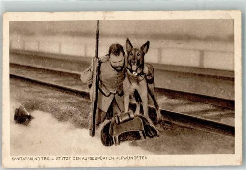 1916 Troll stützt den Verwundeten