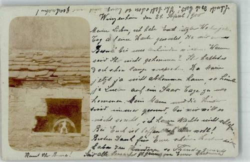 Willgottheim 1900 Ort lt. Stempel Hund Bernhardiner