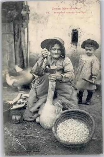 Toulouse Frankreich Gänsestopfen tradition types méridionaux famiere gavant une oie
