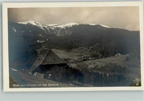 Bärental Schwarzwaldhaus mit Feldberg