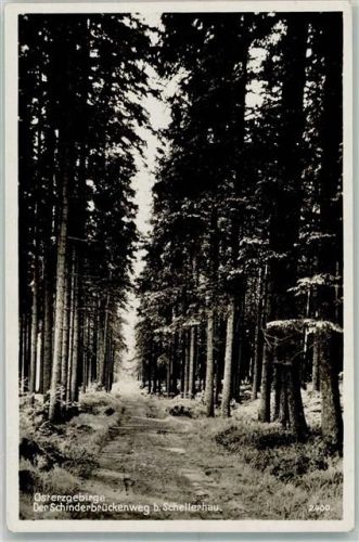 Schellerhau Der Schinderbrückenweg im Osterzgebirge