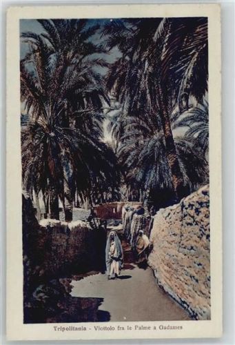 Viottolo fra le Palme e Gadames