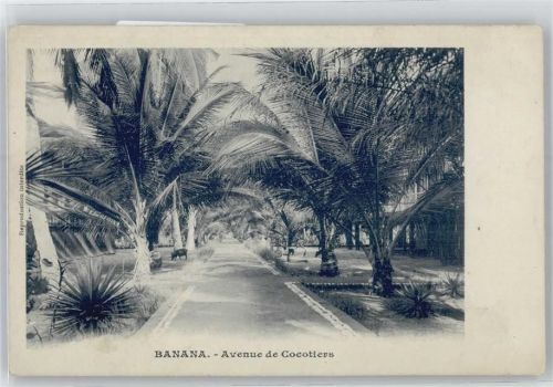 Avenue de Cocotiers, Banana