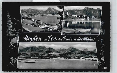 Hopfen