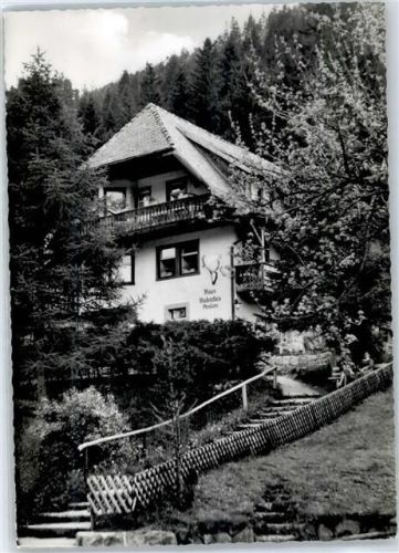 Menzenschwand Pension Haus Hubertus