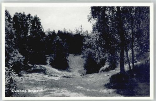 Overberg Bosgezicht AKU1