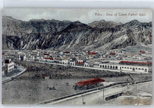 Aden Camel Market town