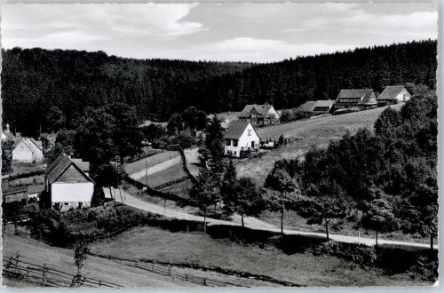 37603 W3450 Fohlenplacken