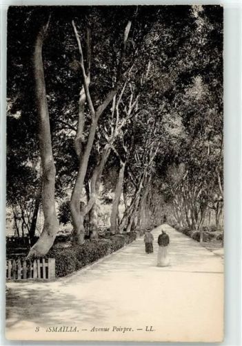 Ismailia Avenue Poirpre AKU2