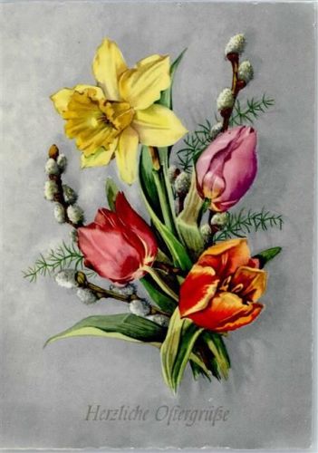 66763 W6638 Dillingen , Saar - Herzliche Ostergrüße Blumen