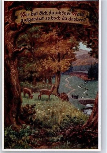 Volkslied Nr. 5 Wer hat dich du schöner Wald