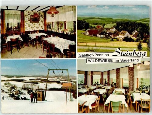 Wildewiese Gasthaus Penion Steinberg Winter