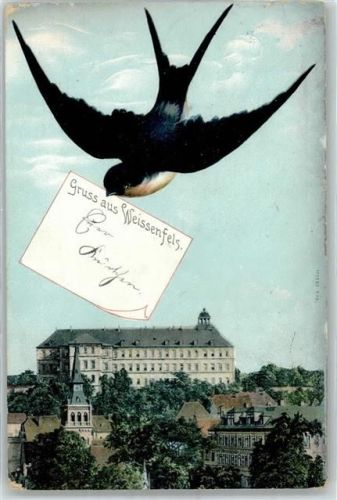 Weißenfels 1907 Schloss