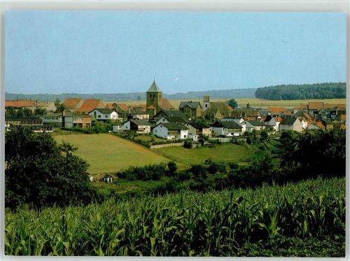 Kriegsfeld