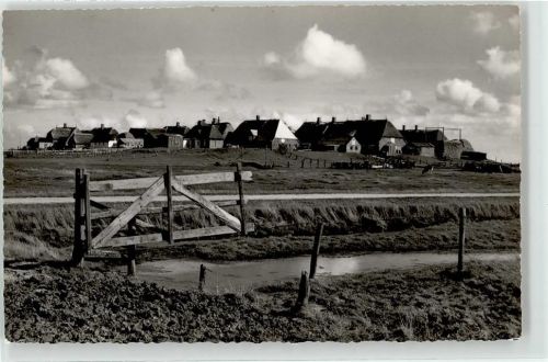 Hooge